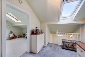 Study Area- click for photo gallery